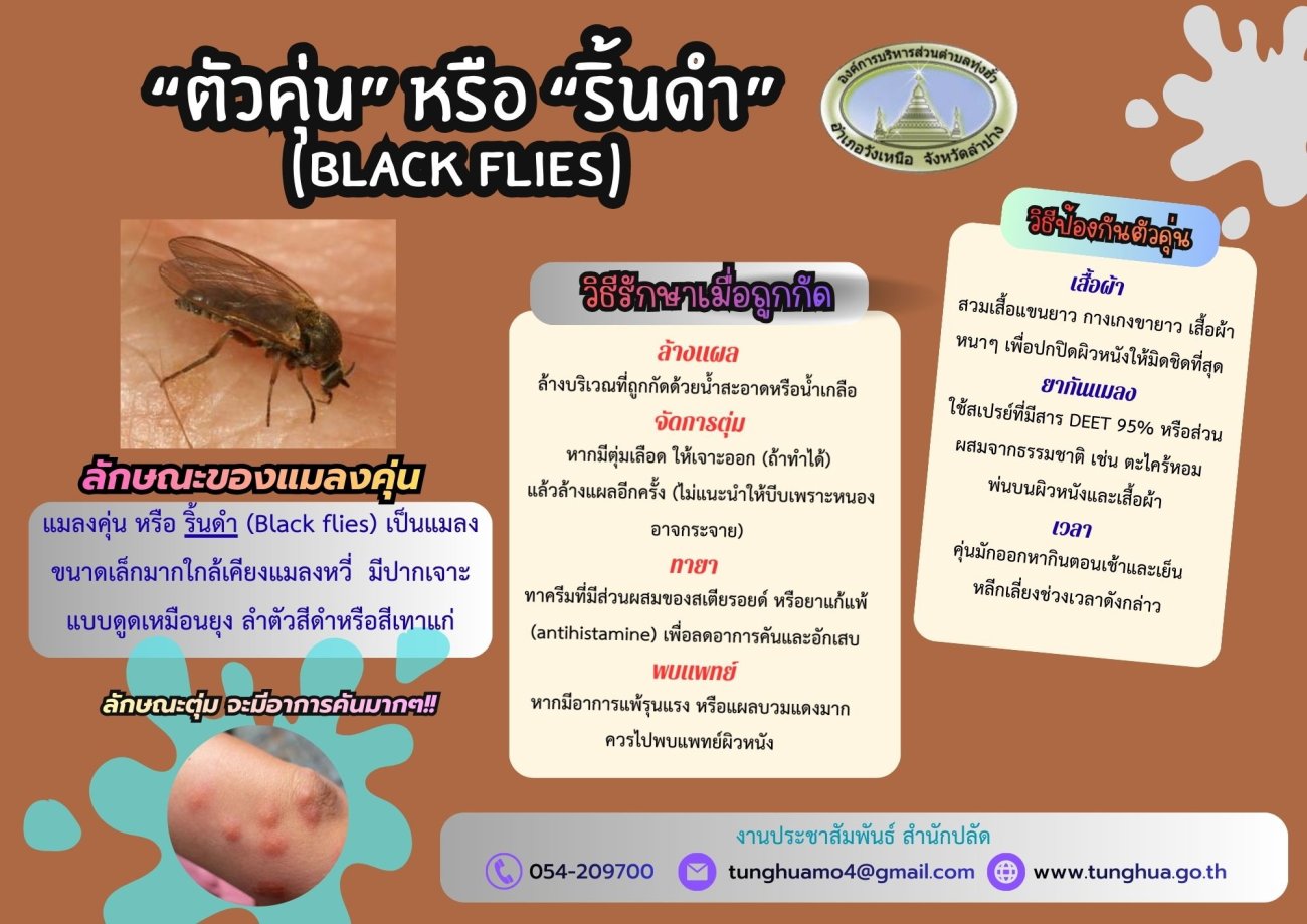 ประชาสัมพันธ์แจ้งเตือนการแพร่ระบาดของแมลง “ตัวคุ่น” ในพื้นที่