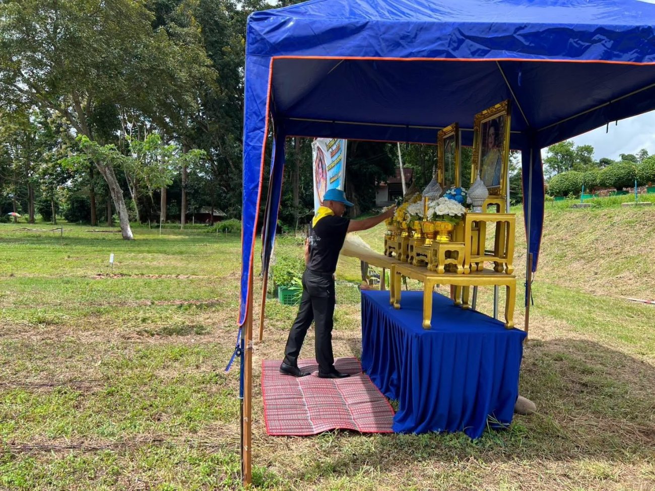 โครงการปลูกป่าเฉลิมพระเกียรติ ประจำปี 2569